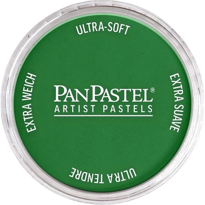 PanPastel Artists’ Сух пастел 640.3 Permanent Green Shade 1 бр (8026403-1)