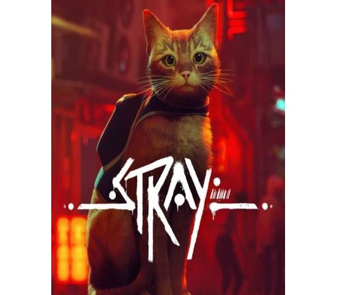 Stray