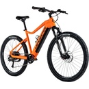 Leader Fox Arimo 3 2024