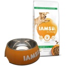 IAMS Dog Adult Large Chicken 12 kg