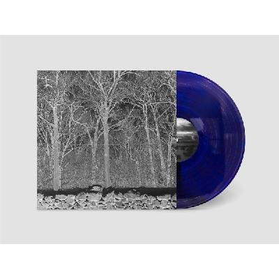 Pile - Sunshine and Balance Beams (Transparent Purple Coloured) (LP) (0617201805725)