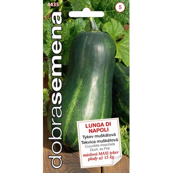 TEKVICA muškátová Lunga di Napoli