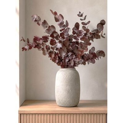 Stabilizovaný eukalyptus ESPIRAL bordó, kytice/svazek 140g
