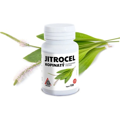 Jitrocel Kopinatý Plantaginis Folium Valknut 100+20 kapslí