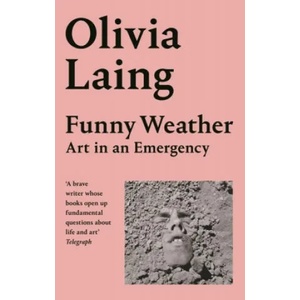 Funny Weather (ISBN: 9781529027655)