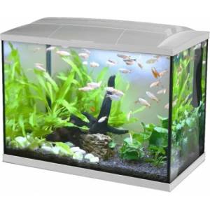HAILEA Аквариум HAILEA K60 - 60 литра, 59 x 31 x 45, 6 см, осветление, филтър