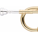 Stagg WS-TR115