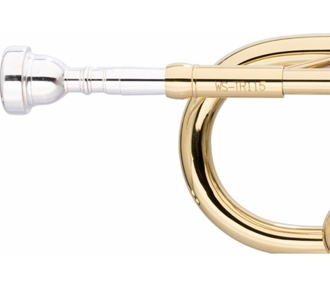 Stagg WS-TR115