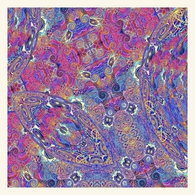Carlos Niño & Friends - Placenta 2 LP