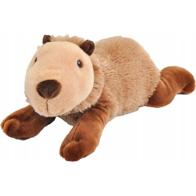 kapybara 30 cm