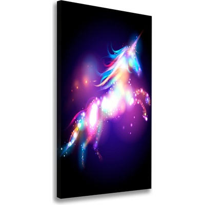 Vertikálny foto obraz na plátne Čarovný jednorožec 50x100 cm