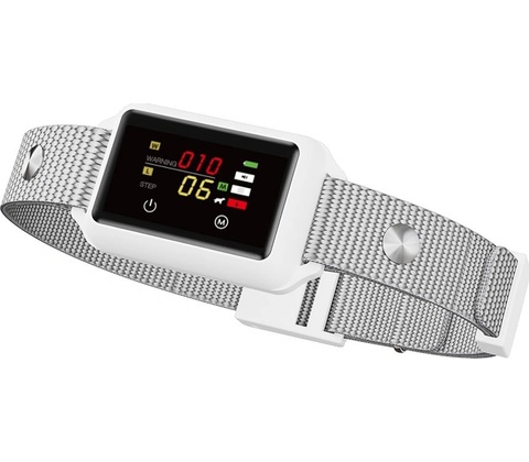 Patpet B800