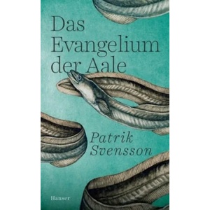 Das Evangelium der Aale | Hanna Granz (ISBN: 9783446265844)