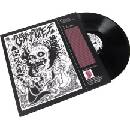 GRIMES: VISIONS LP