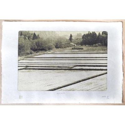 Tisk V. Brunton - rýžová pole (A3)
