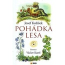 Pohádka lesa