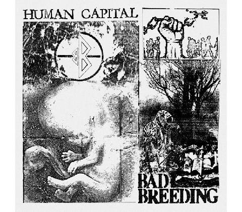 BAD BREEDING - HUMAN CAPITAL LP