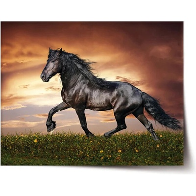 Sablio Plakát Friský kůň - 90x60 cm