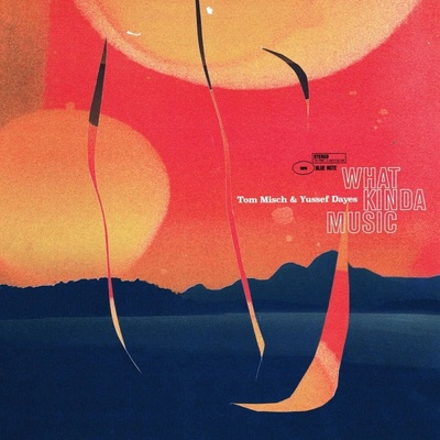Tom Misch & Yussef Dayes - What Kinda Music (180 g) (Gatefold Sleeve) (2 LP) (842812123108)