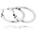 JVD SS41E01401888