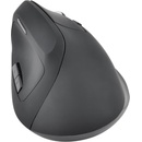 Image 1 of Bluestork M-W-ERGO