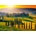 Enjoy - Puzzle Tuscany Sunset - 1 000 piese