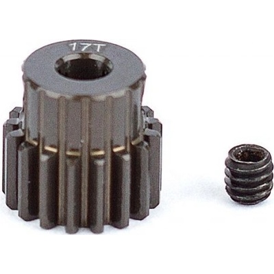 Associated Pastorek 17 zubů modul 48DP Factory Team