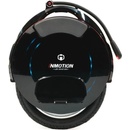 InMotion V10F