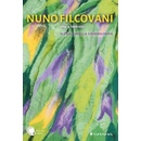 Nunofilcování
