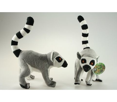 Lemur