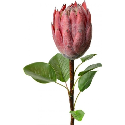 Ružová umelá dekorácia kvetina Protea - 10*10*65 cm - Clayre & Eef