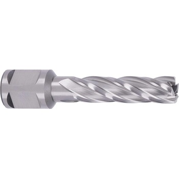ABSE N-HS-W19-0150050