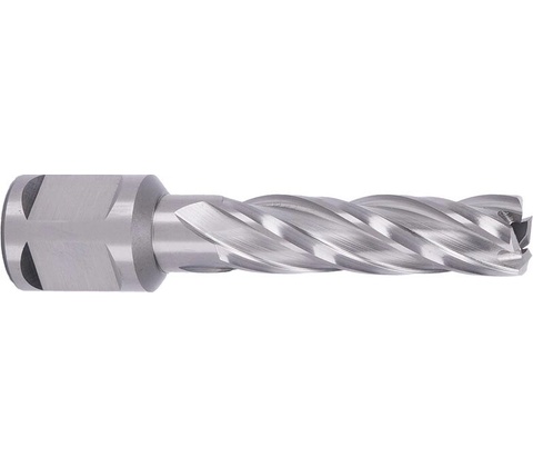 ABSE N-HS-W19-0150050