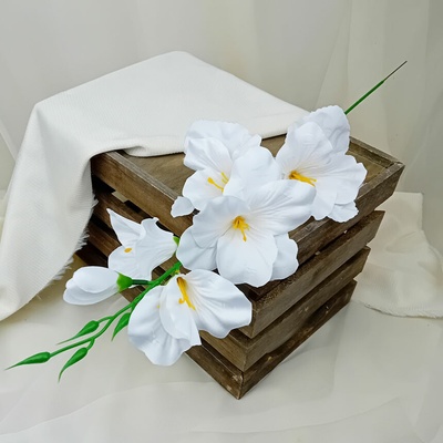 Gladiola biela - halúzka