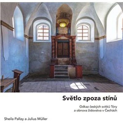 Světlo zpoza stínů - Julius Müller