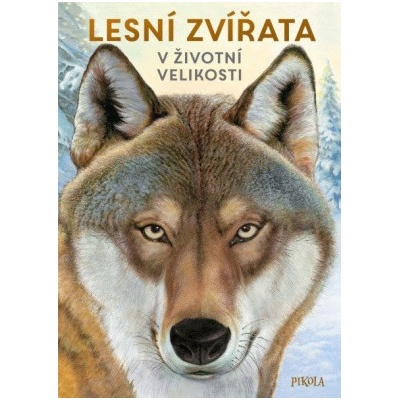 Lesní zvířata: V životní velikosti - Haag Holger