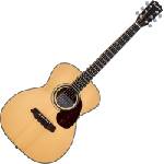 Pasadena PG-200 Natural Джъмбо китара