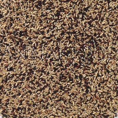 Deli Nature 50 Canaries Basic 4 kg