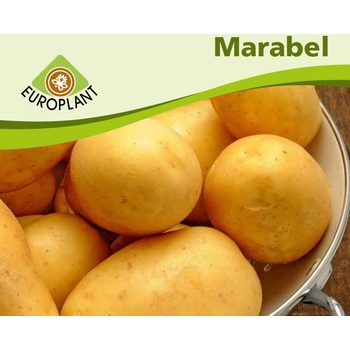 Sadbove Brambory Marabel