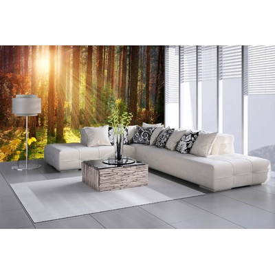 DIMEX ART Самозалепваща се флизелинова фототапета есен в гората 375 x 250 см