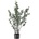 Bloomingville Изкуствено цвете в саксия Bloomingville евкалипт L (82061500)