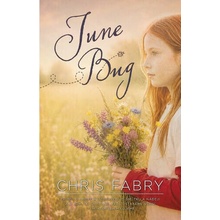 June Bug - Chris Fabry