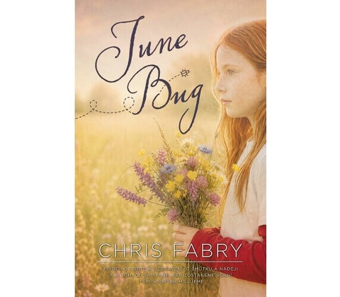June Bug - Chris Fabry