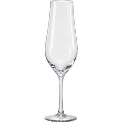 Crystalex Skleničky na šampaňské Tulipa průhledný 6 x 170 ml