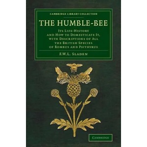 Humble-Bee | Frederick William Lambert Sladen (2014)