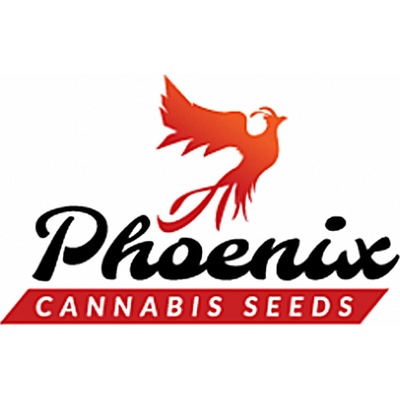 Phoenix Seeds CBD Critical Mass semienka neobsahujú THC 1 ks