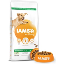 Iams Dog Adult Large Lamb 12 kg