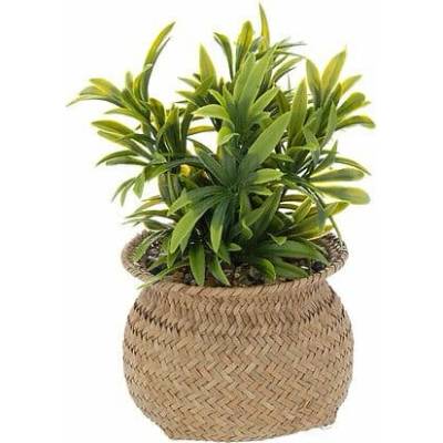 Atmosphera Umělá rostlina Jiling v květináči boho do obývacího pokoje 20 cm