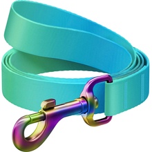 WAUDOG gradient nylon dog leash
