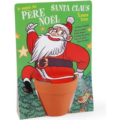 Radis et Capucine Дядо Коледа - смърч, теракотена саксия (041560)